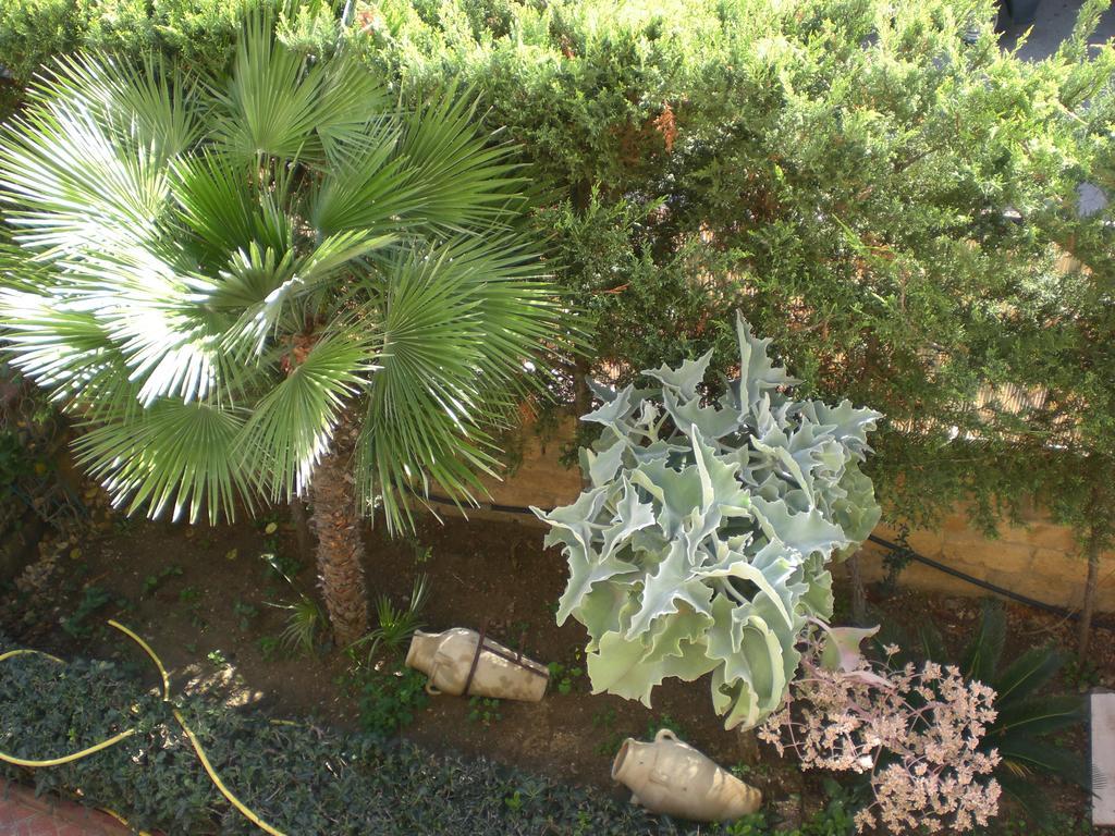Bouganville San Leone Exterior foto